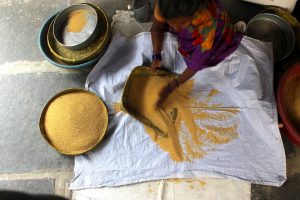 Woman cleaning foxtail millet by hand